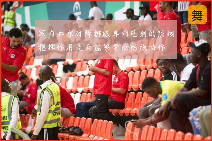 塞内加尔对阵挪威库利巴利的防线指挥作用是否能够带动防线协作